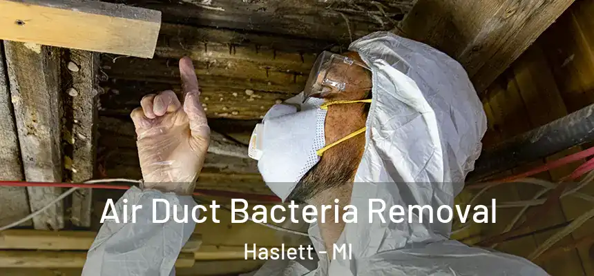  Air Duct Bacteria Removal Haslett - MI