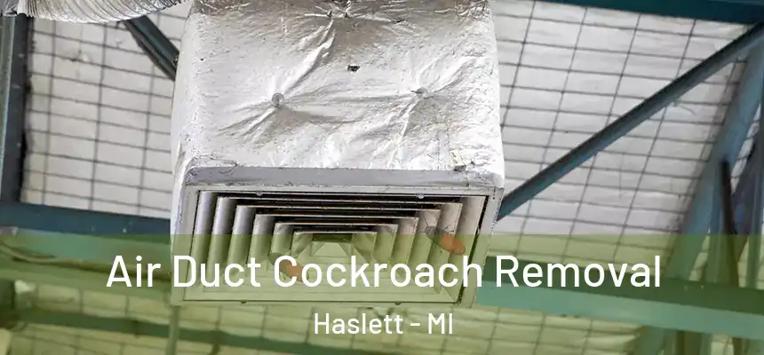  Air Duct Cockroach Removal Haslett - MI