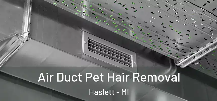  Air Duct Pet Hair Removal Haslett - MI