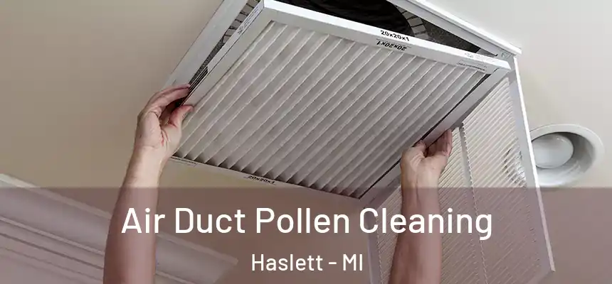  Air Duct Pollen Cleaning Haslett - MI