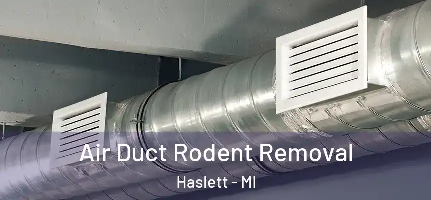  Air Duct Rodent Removal Haslett - MI