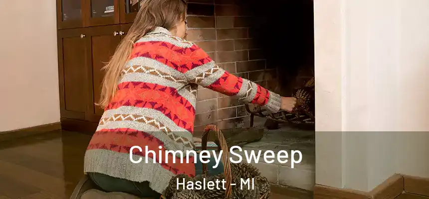  Chimney Sweep Haslett - MI