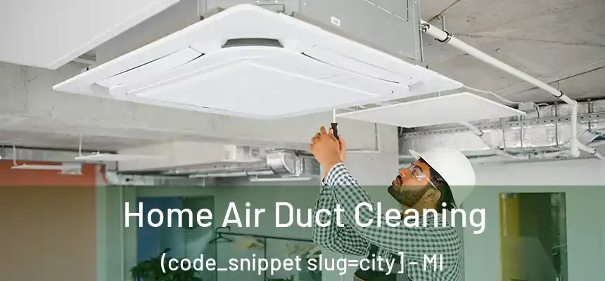  Home Air Duct Cleaning (code_snippet slug=city] - MI