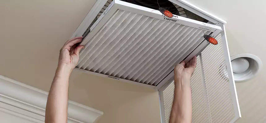 Preventive Cockroach-Proofing for Ducts in Haslett