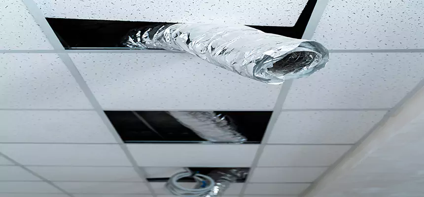 Affordable HVAC Sanitizing After Pest Removal in Haslett