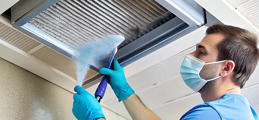 Proactive Dryer Vent & Auxiliary Duct Pollen Cleanup in Haslett, MI