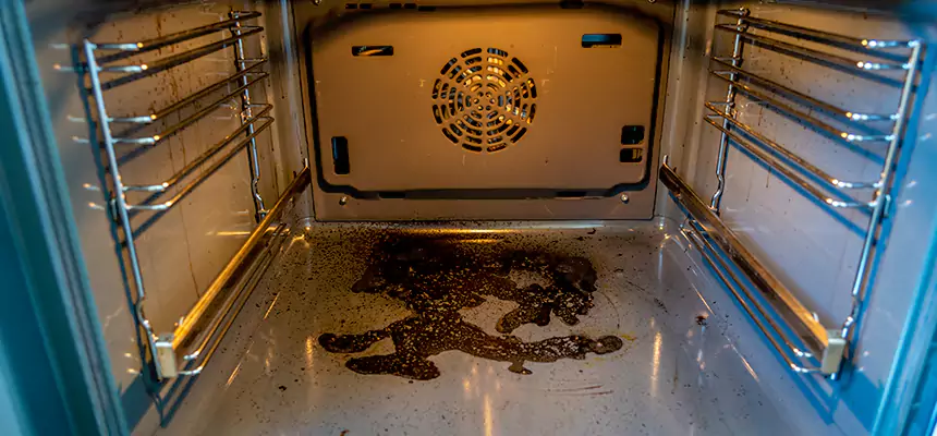 Our Dryer Vent Mold Cleaning Services in Haslett, MI