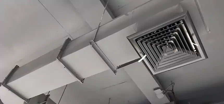 Our Pest Removal From Ducts Services in Haslett, MI