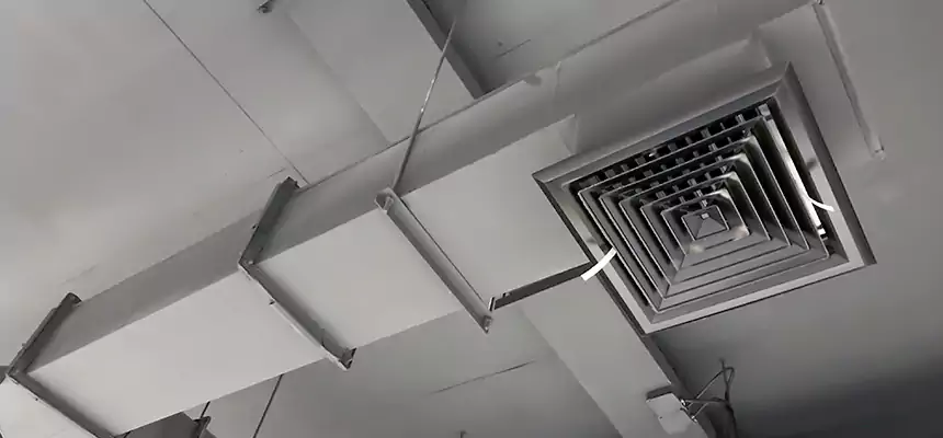 Our Rodent Droppings In Vents Services in Haslett, MI