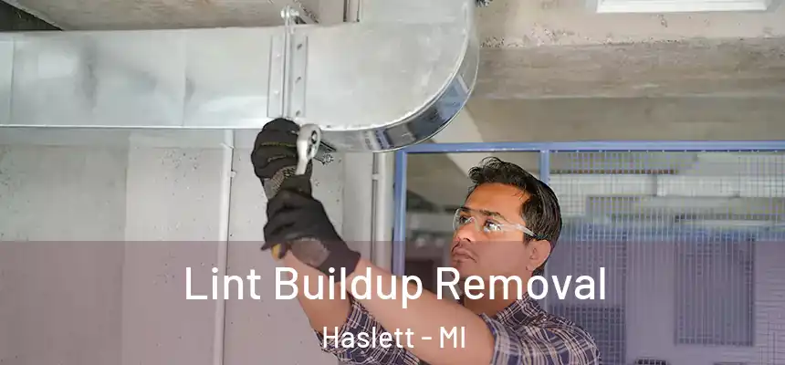  Lint Buildup Removal Haslett - MI