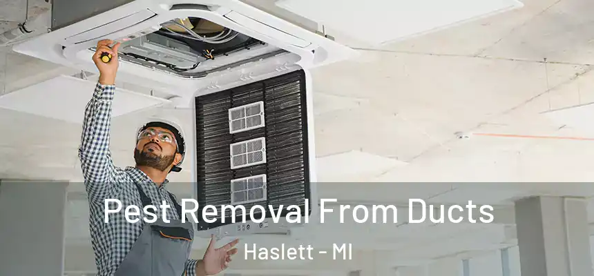  Pest Removal From Ducts Haslett - MI