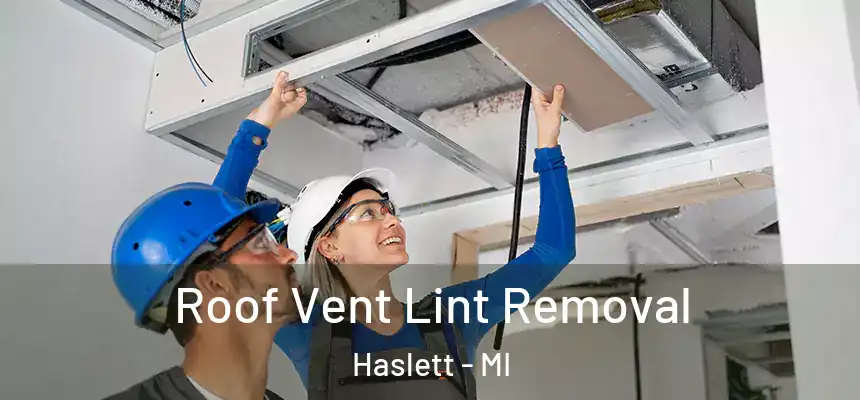 Roof Vent Lint Removal Haslett - MI