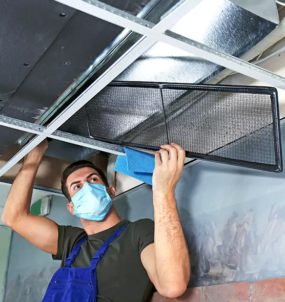 About Air Duct Bacteria Removal in Haslett