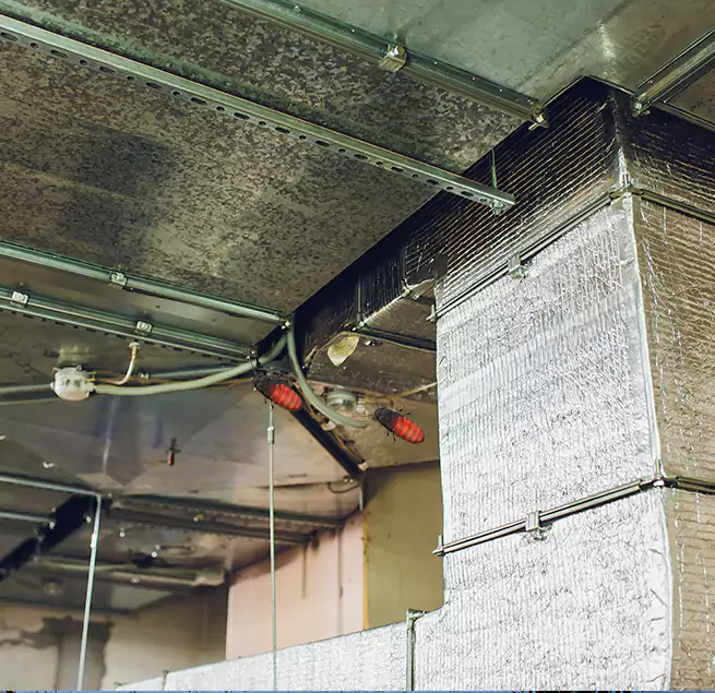 Why Homeowners & Businesses Trust Us Haslett, MI?