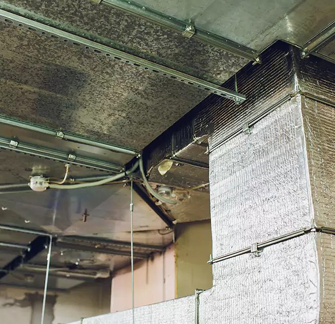 Why Homeowners & Businesses Trust Us in Haslett, MI?