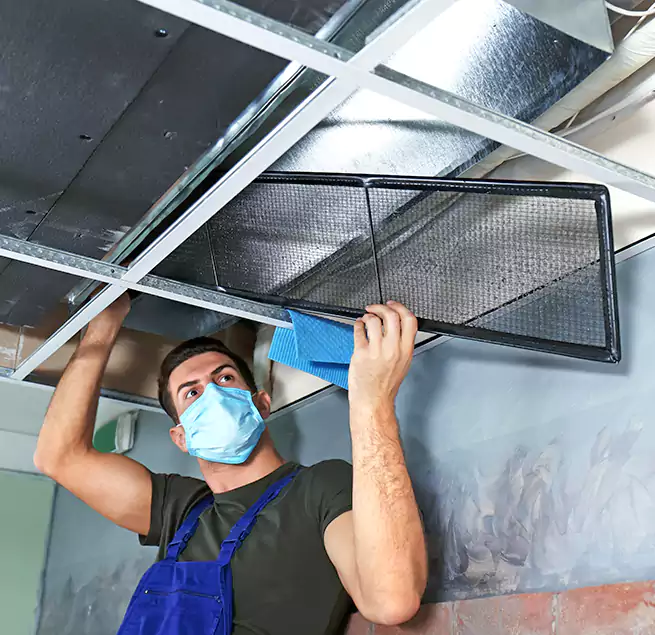 Why Homeowners Businesses Trust Us in Haslett, MI